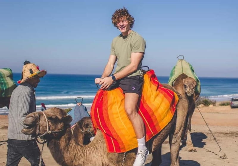 From Malaga: Tangier Day Trip with Ferry, Camel & Souks - The Practicalities of the Moroccan Day Trip from Malaga