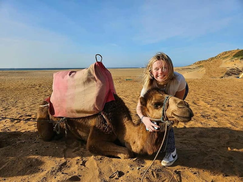 From Malaga: Tangier Day Trip with Ferry, Camel & Souks - Who Will Enjoy This Trip Most?