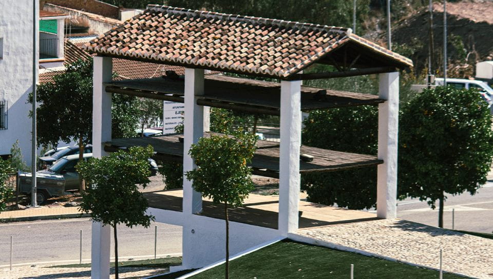 From Malaga: Wine Tasting and Vineyard Day Trip to Alora - What to Expect