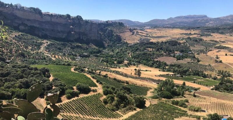From Marbella: Classic Ronda Tour, 2 winery visits & lunch - Entering the Dramatic Cliff-Edged Town of Ronda