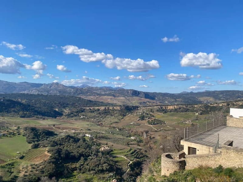 From Marbella: Ronda private tour, café, bullring, tapas, drinks, gift - Who This Tour Is Perfect For