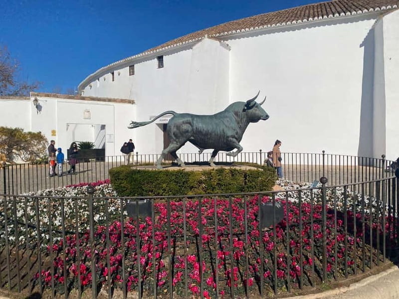 From Marbella: Ronda private tour, café, bullring, tapas, drinks, gift - Price and Logistics