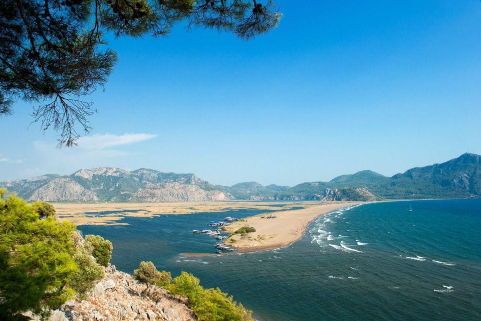 From Marmaris: Dalyan Cruise, Turtle Beach & Mud Baths - Turtle Beach Escapade