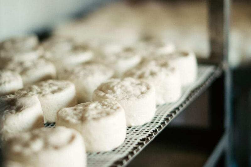 From Marseille: Aix en Provence Wine and Cheese Tour - Final Thoughts