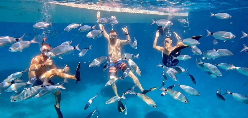 From Marseille: Iconic Calanques Boat Tour with Swimming - The Itinerary: What You’ll See and Do