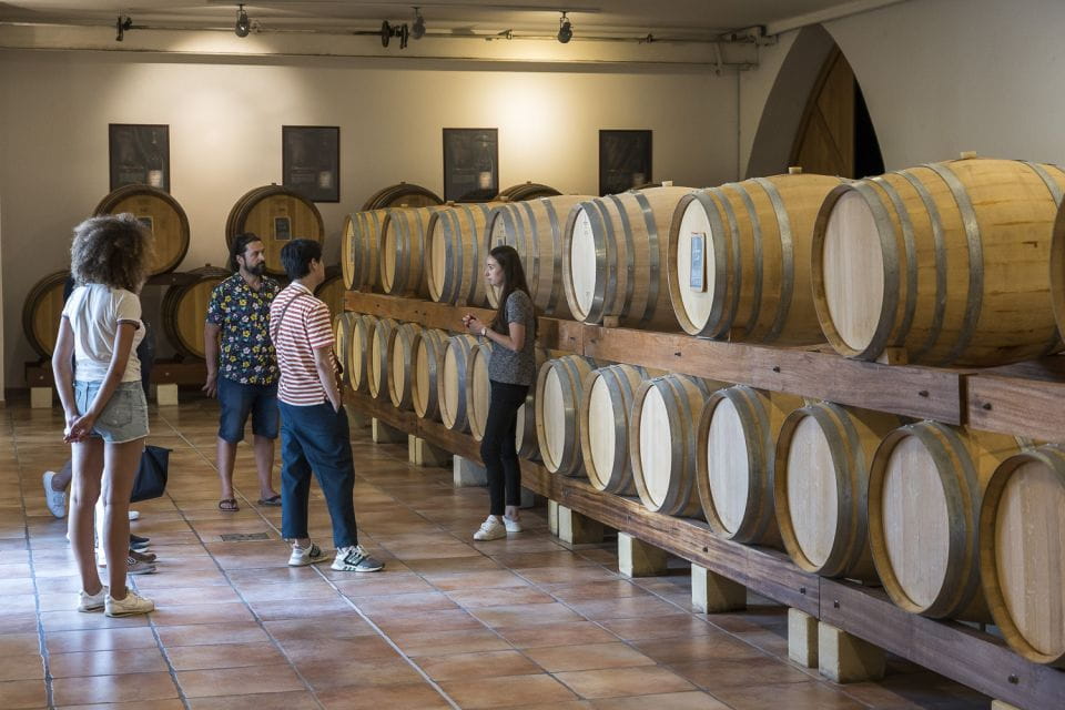 From Marseille: Provence Sightseeing Tour and Wine Tasting - Policies: Cancellation, Mobility, and Restrictions