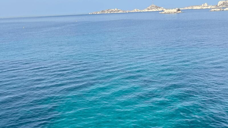 From Marseille to Cassis: a journey to the heart of the calanques and traditions. - Pricing and Overall Value