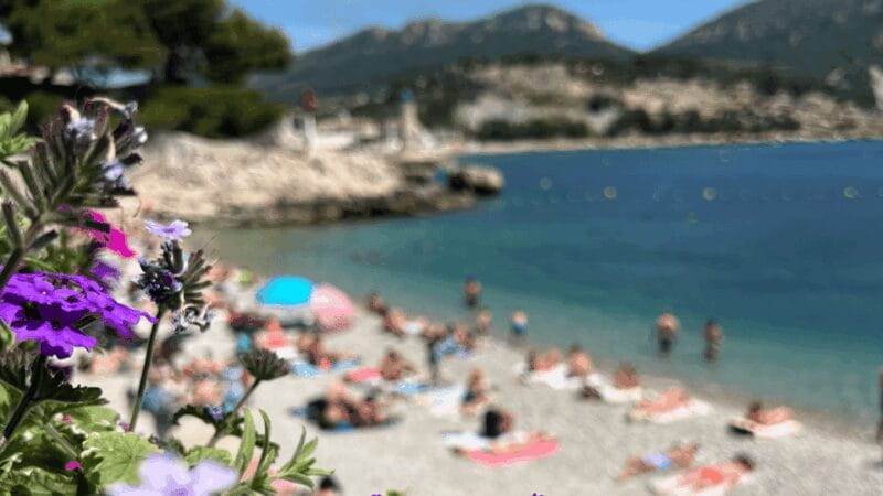 From Marseille to Cassis: a journey to the heart of the calanques and traditions. - FAQ
