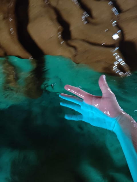 From Marseille to the Calanques Blueues by train, hike, lagoons and villages - FAQs