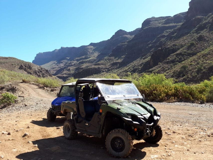 From Maspalomas: Volcanic Landscapes 4-Seater Buggy Tour - Things To Know