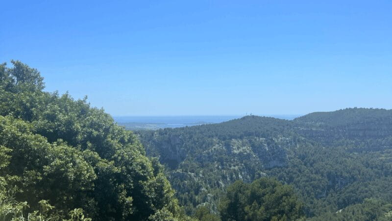 From medieval Evenos to Bandol wines : a taste of Provence - Price and Logistics: Good Value for a Compact Day Tour