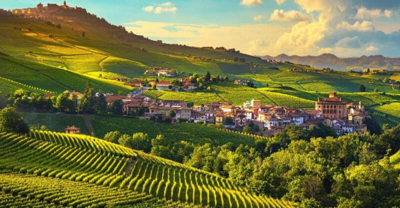From Milan: Barolo Wine Tasting, Alba Tour and Castle Visit - A Day in the Heart of Piedmont: From Milan to the Langhe