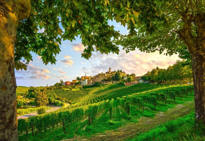 From Milan: Barolo Wine Tasting, Alba Tour and Castle Visit - Alba: Medieval Charm and Gourmet Delights