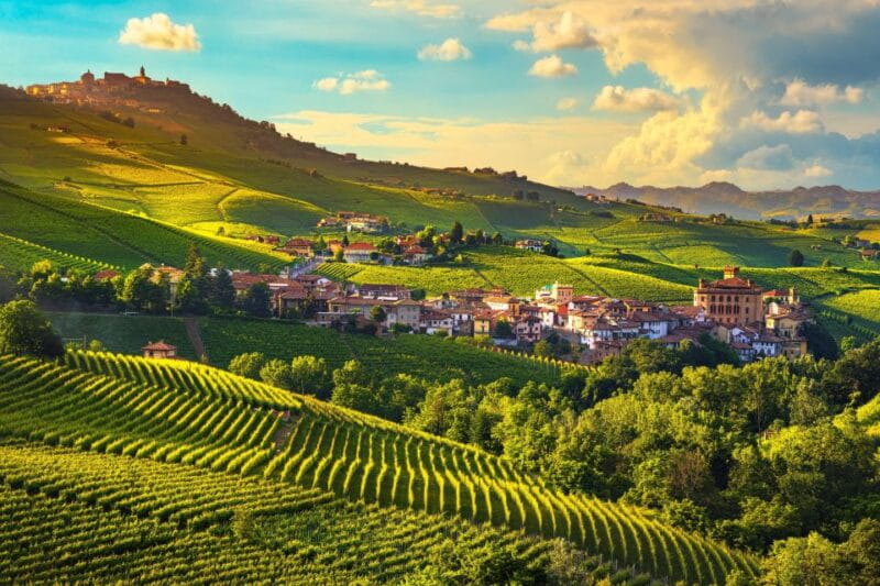 From Milan: Barolo Wine Tasting, Alba Tour and Castle Visit - Logistics, Value, and Who Will Love This Tour