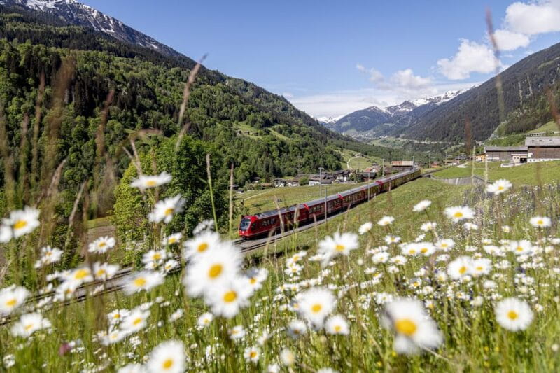 From Milan: Bernina Red Train to St Moritz Guided Tour - Key Points / Takeaways