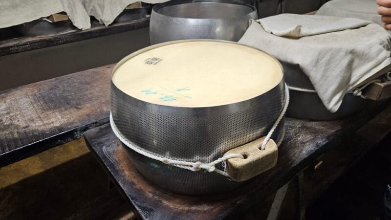 From Milan: Food Valley with Cheese Factory Visit and Lunch - Final Thoughts on Value and Experience