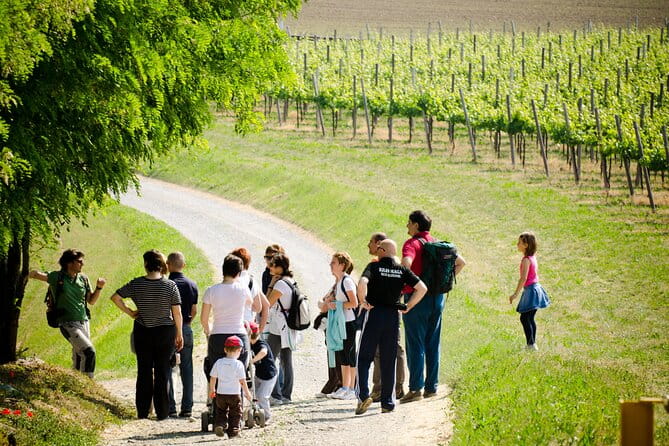 From Milan Full Day in Franciacorta 2 Wineries and Lunch - Final Thoughts: Is This Tour Worth It?