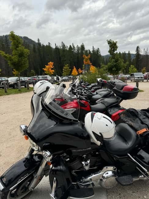 From Milan: Harley Davidson motorcycle tour in 5 countries unique experience! - Who Is This Tour Best For?