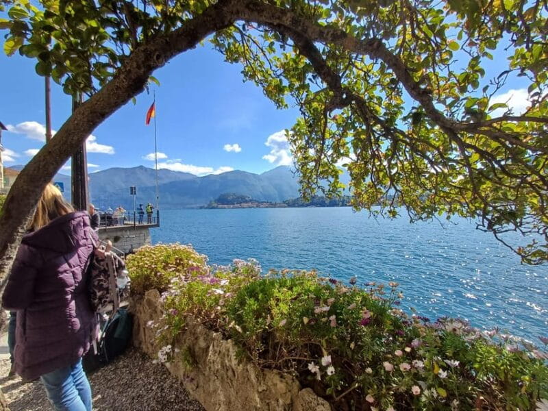 From Milan: Lake Como and Bernina Train Day Trip - Price and Value Analysis