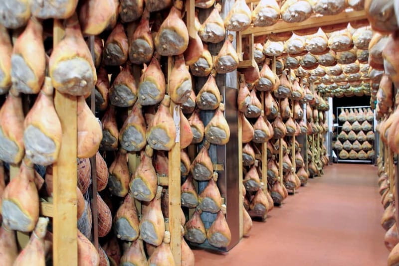 From Milan: Parmigiano Experience and Parma - Price and Logistics: Good Value for Gourmet and Culture