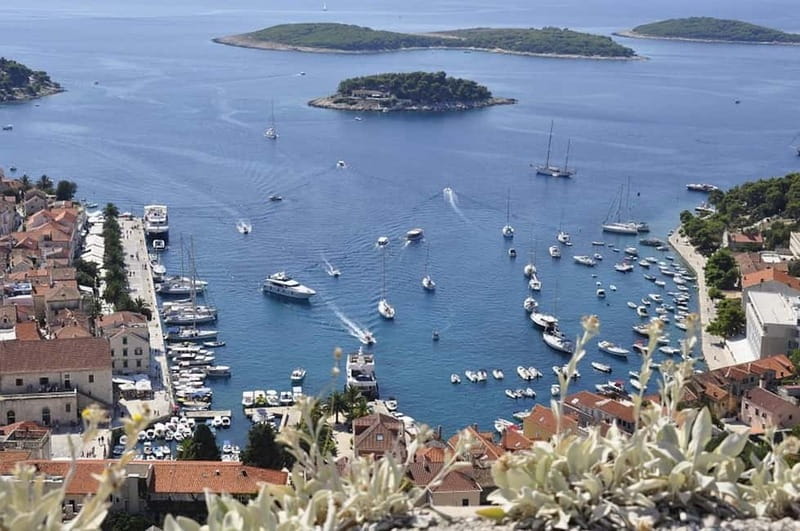 From Milna, Supetar, Postira: Magical Blue Cave and Hvar - Key points / Takeaways