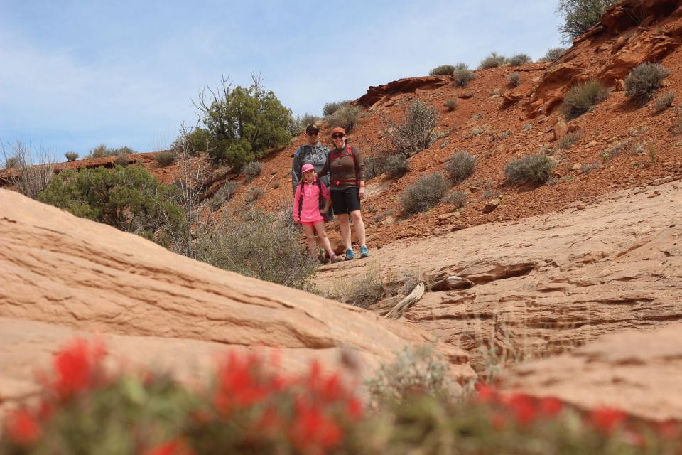 From Moab: 1-Day Horseshoe Canyon Exploration - Physical Requirements