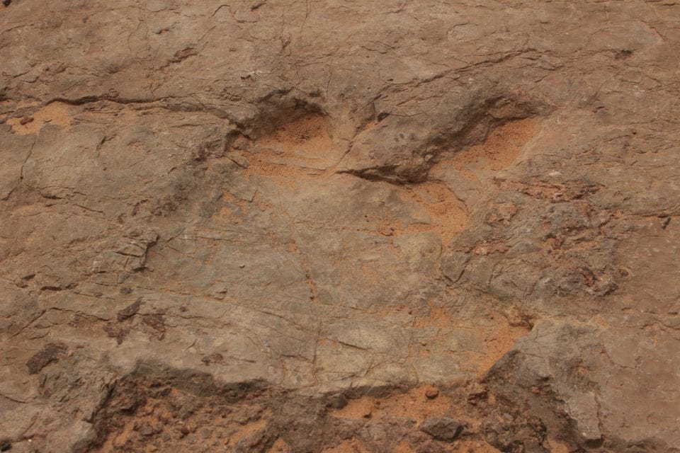 From Moab: Half-Day Arches National Park 4x4 Driving Tour - Frequently Asked Questions