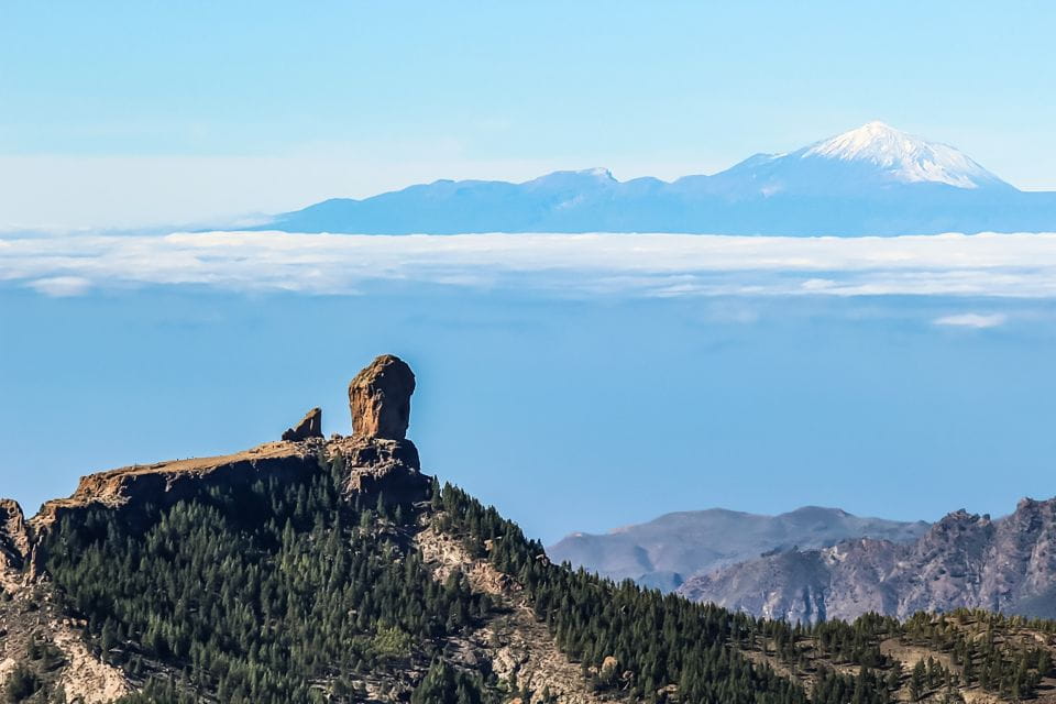 From Mogán/Maspalomas/Arguineguín: Gran Canaria Day Tour - Booking and Cancellation Policy