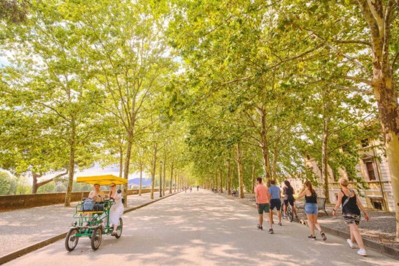 From Montecatini: Pisa & Lucca Day Full Day Tour - Who This Tour Is Best For