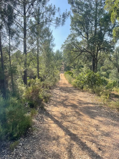 From Montemor or Évora: Guided Hike to Almendres Megalithic - Key points / Takeaways