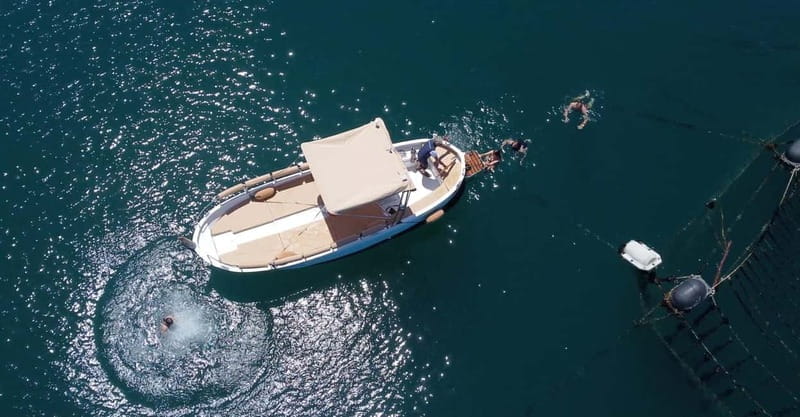 From Monterosso:3 Hour One-Way Sunset Boat Tour to La Spezia - Price and Value: Is It Worth It?