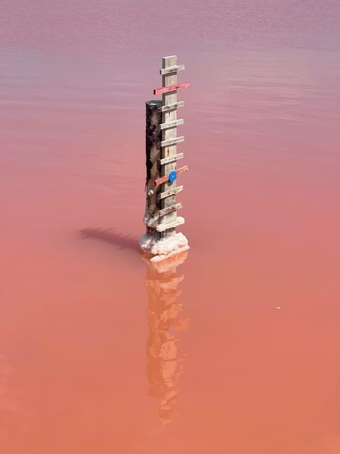 From Montpellier: Camargue and Salt Marshes Guided Tour - Saintes-Maries-de-la-Mer: Coastal Culture and Religious Heritage