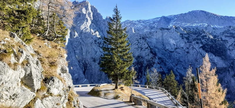 From Munich: Private Day Trip to the Berchtesgaden Alps - Lake Königssee and Königssee Village: Nature and Echoes