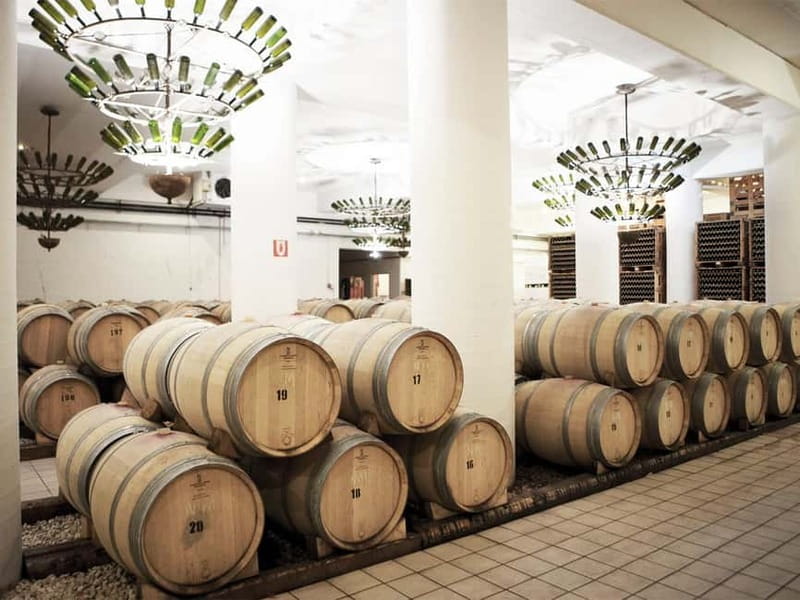 From Nafplio: Nemea, Wine Tasting Tour with Local Flavours - The Cultural and Historical Bonus