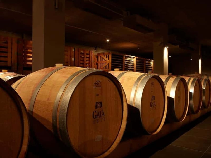 From Nafplio: Nemea, Wine Tasting Tour with Local Flavours - The Price and Value Proposition