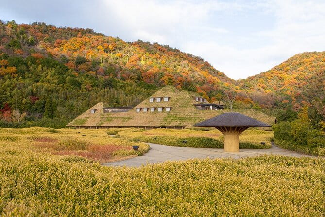 From Nagoya: Castles and Canals in Hikone and Omi Hachiman - Key Points