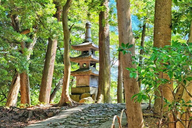 From Nagoya: Castles and Canals in Hikone and Omi Hachiman - Booking Information