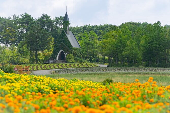 From Nagoya: Kamikochi - Enchanting Landscapes & Seasonal Beauty - Key Points
