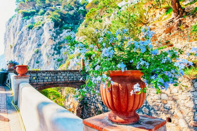 From Naples: Capri and Blue Grotto Day Tour - The Value of the Experience: Is It Worth It?