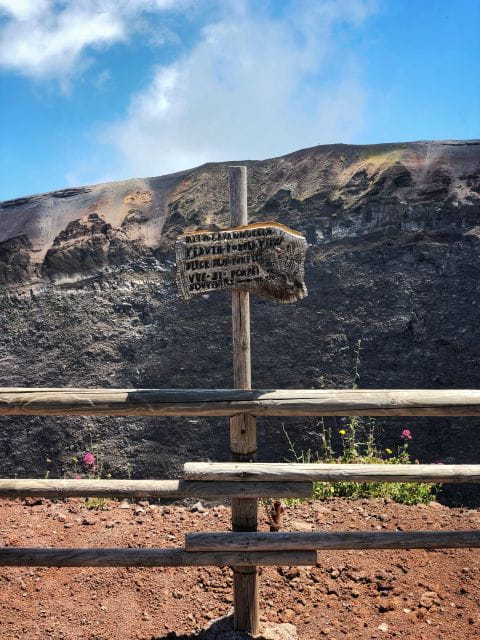 From Naples: Mount Vesuvius Half-Day Tour with Lunch - FAQ