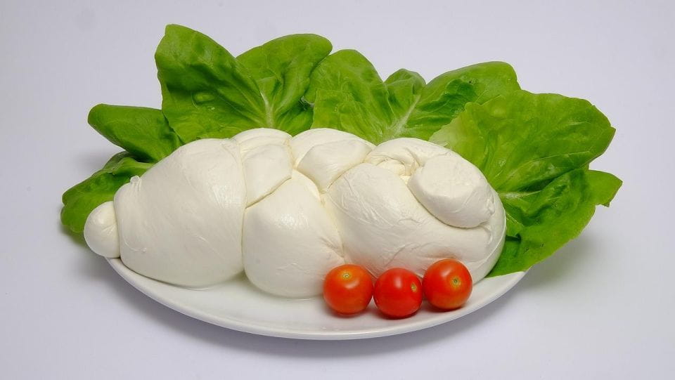 From Naples: Paestum Greek Temples, Buffalo Mozzarella Farm - Guided Visits