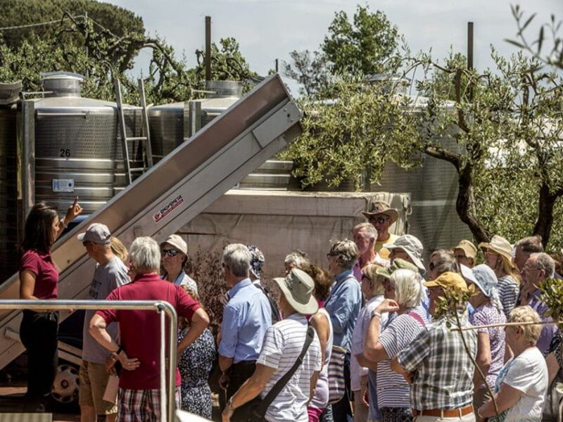 From Naples: Pompeii and Wine Tasting Tour with Lunch - Exploring Pompeii and Vesuvius Wines in One Day