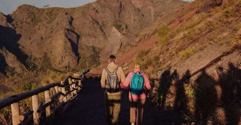 From Naples: Pompeii & Mount Vesuvius Full-Day Private Tour - Logistics and Timing: Smooth and Well-Orchestrated