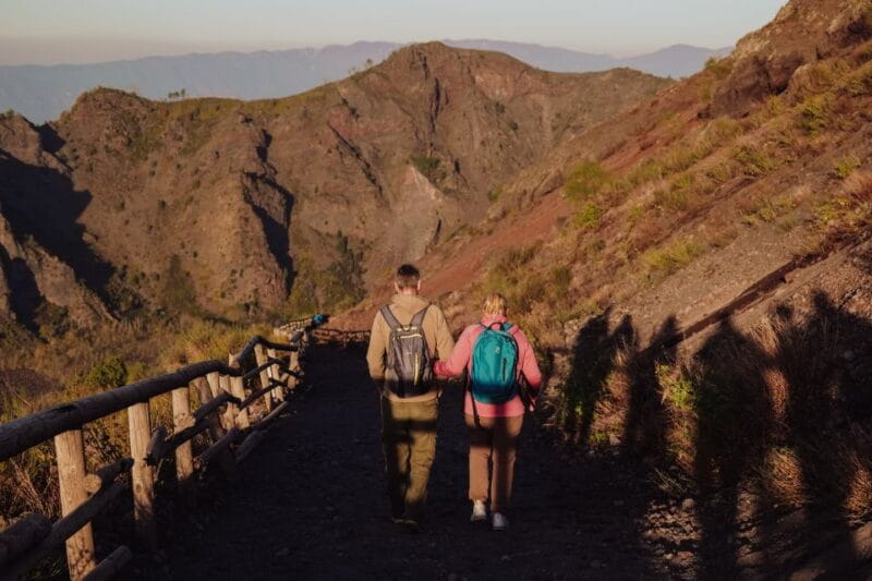 From Naples: Pompeii & Mount Vesuvius Full-Day Private Tour - Final Thoughts