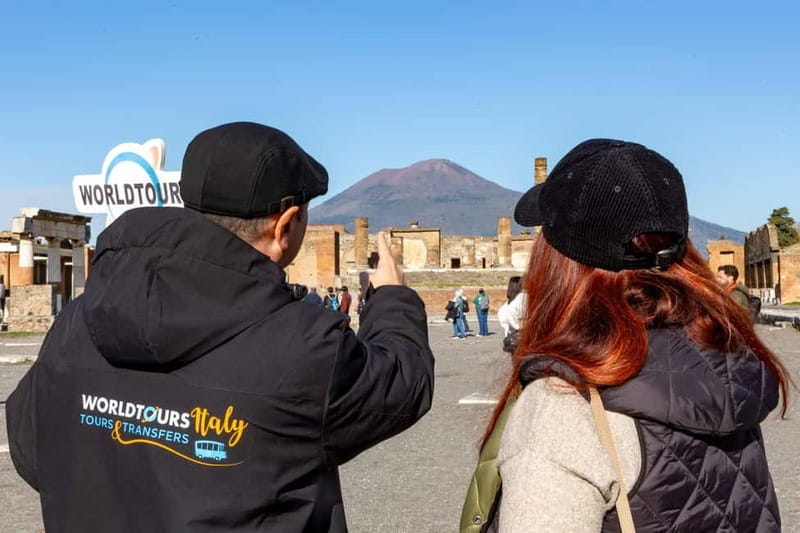 From Naples: Pompeii Private Tour with Transfer and Guide - Price and Logistics