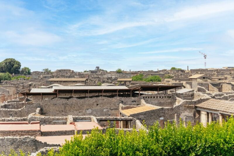 From Naples: Pompeii Ruins & Mount Vesuvius Day Tour - Who Will Love This Tour?