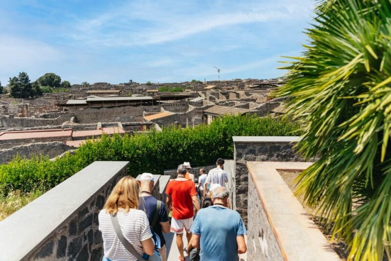 From Naples: Pompeii Ruins & Mount Vesuvius Day Tour - FAQ