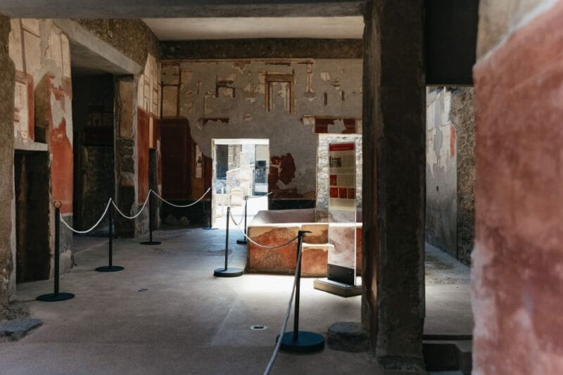 From Naples: Pompeii Ruins & Mount Vesuvius Day Tour - Who Should Book This Tour?