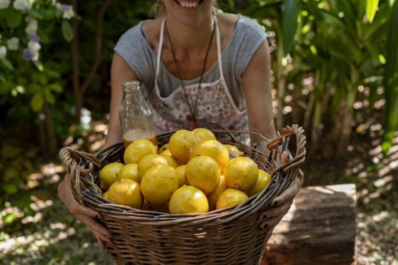 From Naples port_Private Tour of Pompeii and Sorrento - The Sum Up