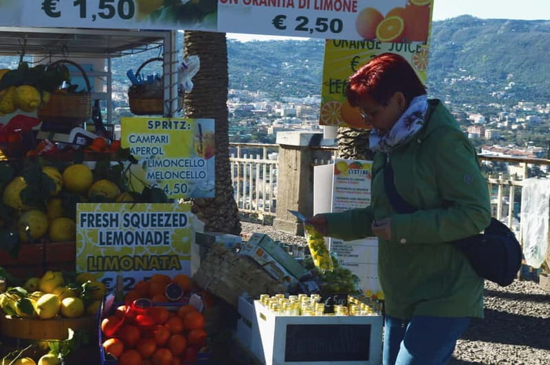 From Naples/Salerno: Group Tour to Positano, Amalfi, Ravello - Final Thoughts